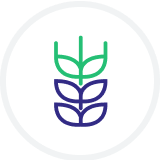 Alt Image